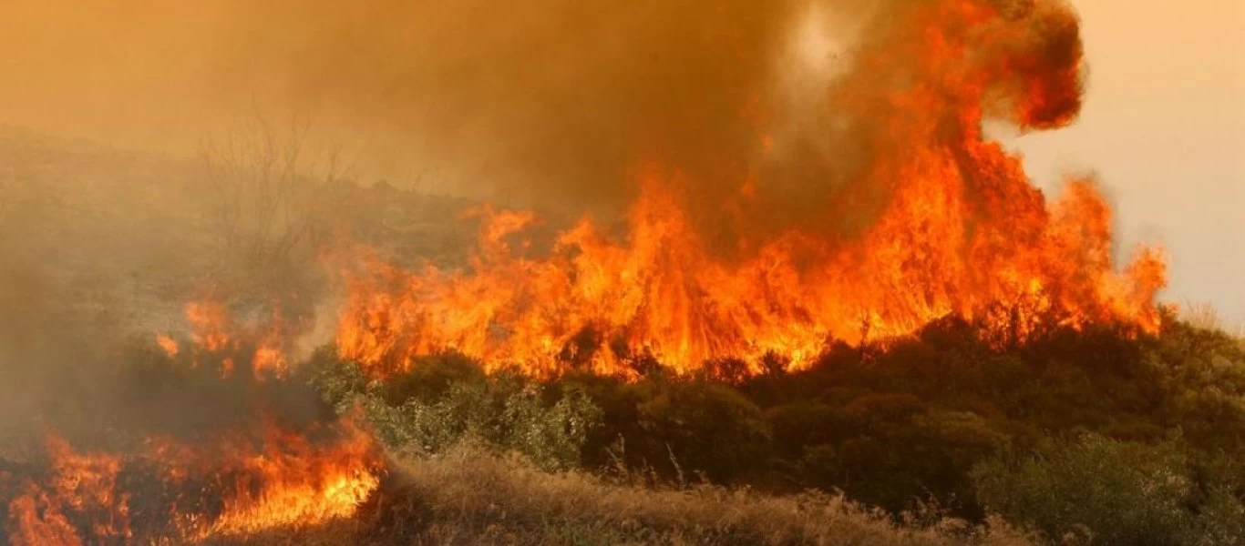 Φωτιά ξέσπασε στην Ηλεία (φωτό)